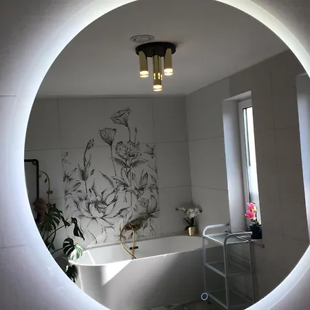 Igrazka Daire Kudowa-Zdroj